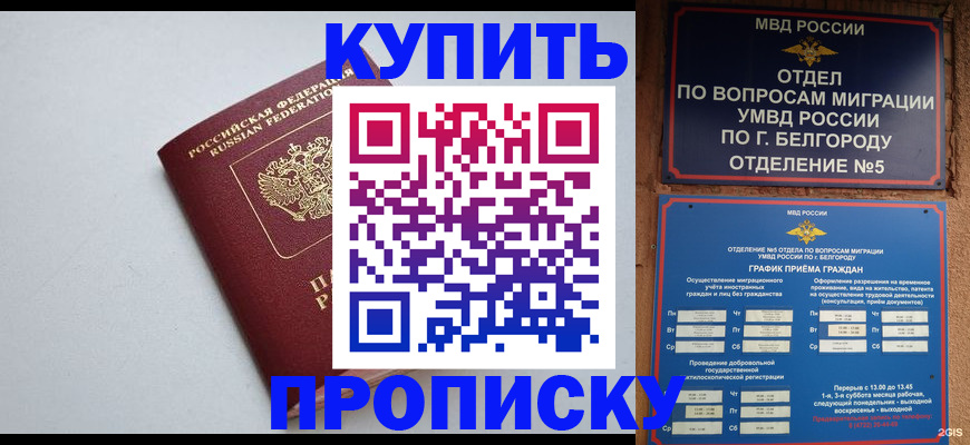 прописка регистрация в Жукове